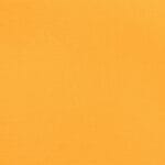 Neon Orange