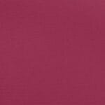 Raspberry